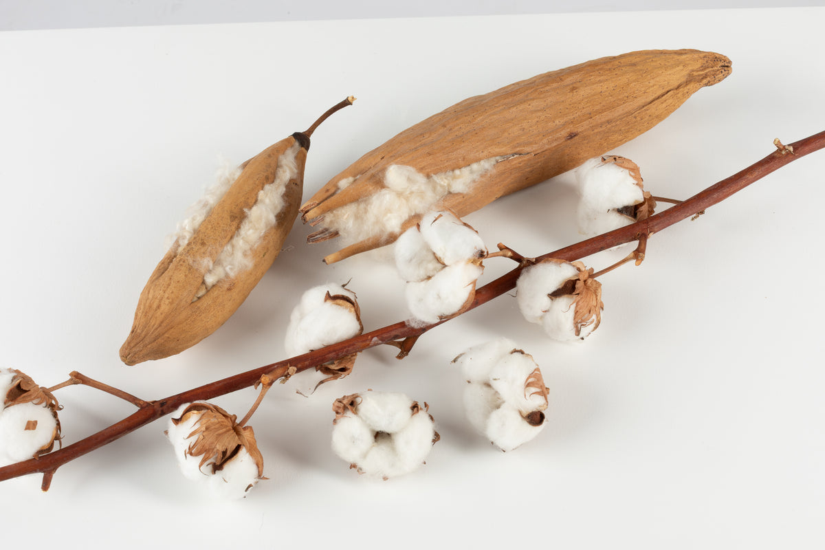 bauerfeind-cotton-air-cotton-and-kapok