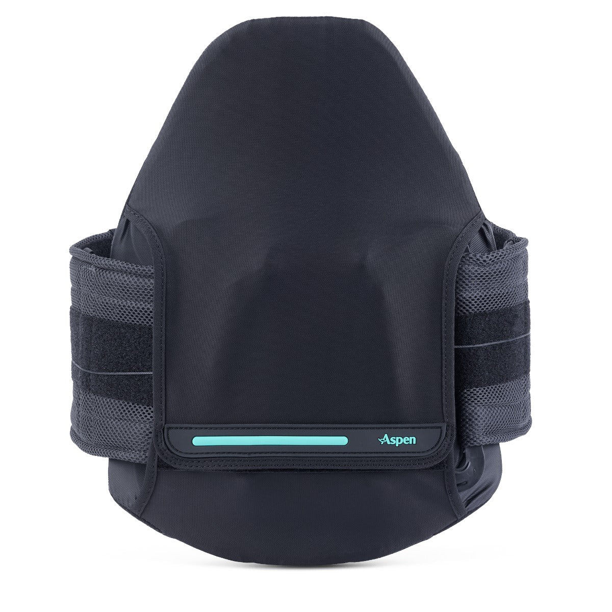 Aspen Horizon PRO 631 LSO Back Brace