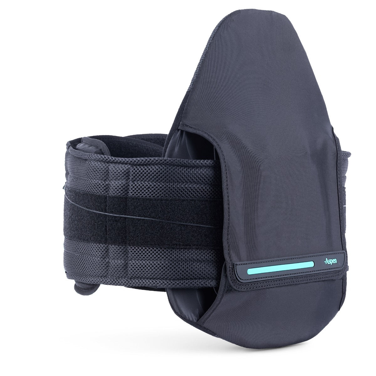 Aspen Horizon PRO 637 LSO Back Brace