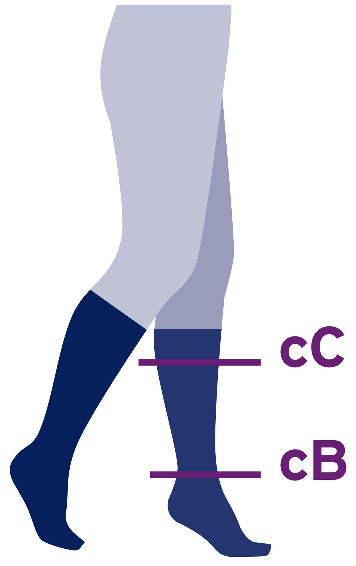 jobst-activewear-knee-high-20-30-mmhg-compression-socks-closed-toe-sizing-guide.jpg