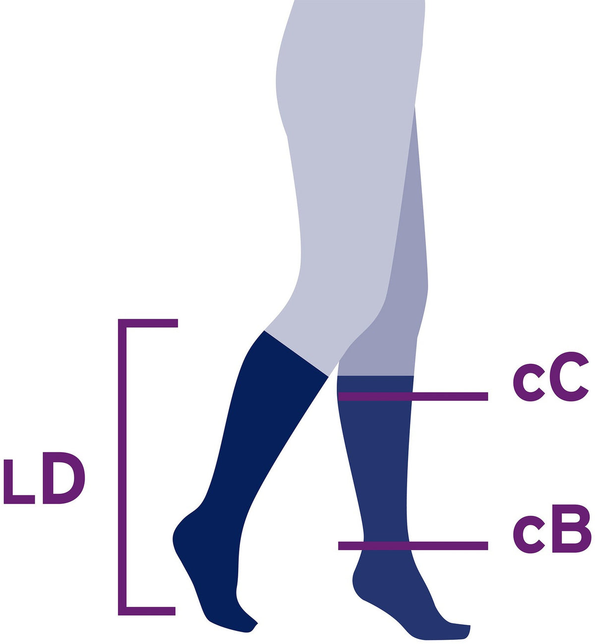 jobst-opaque-women-s-knee-high-30-40-mmhg-compression-socks-closed-toe-sizing-guide.jpg