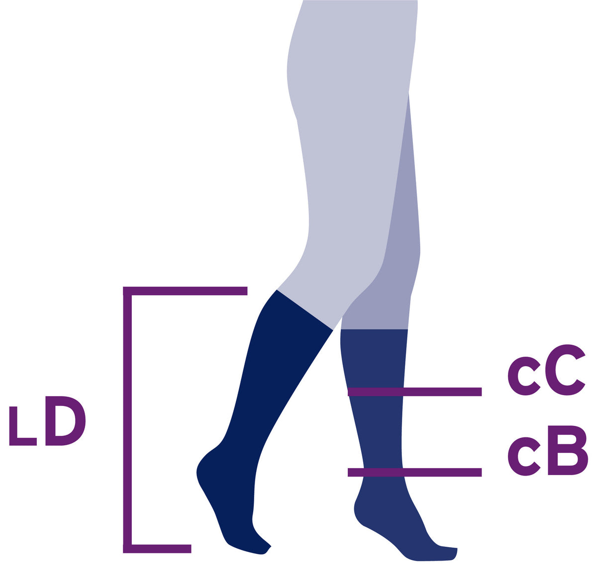jobst-style-knee-high-20-30-mmhg-compression-socks-closed-toe-sizing-guide.jpg