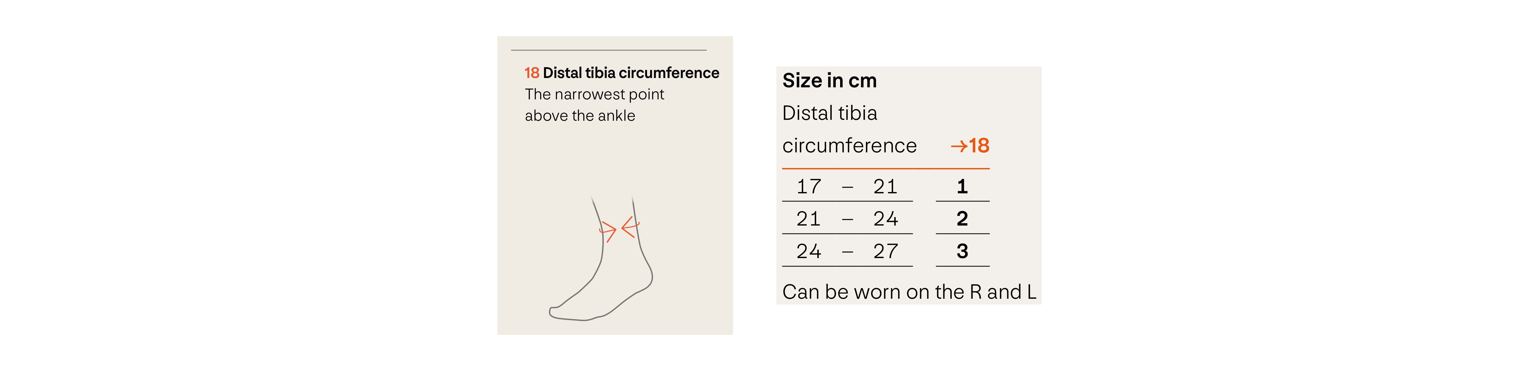 sporlastic-calcaneal-spur-foot-support-sizing-guide.jpg
