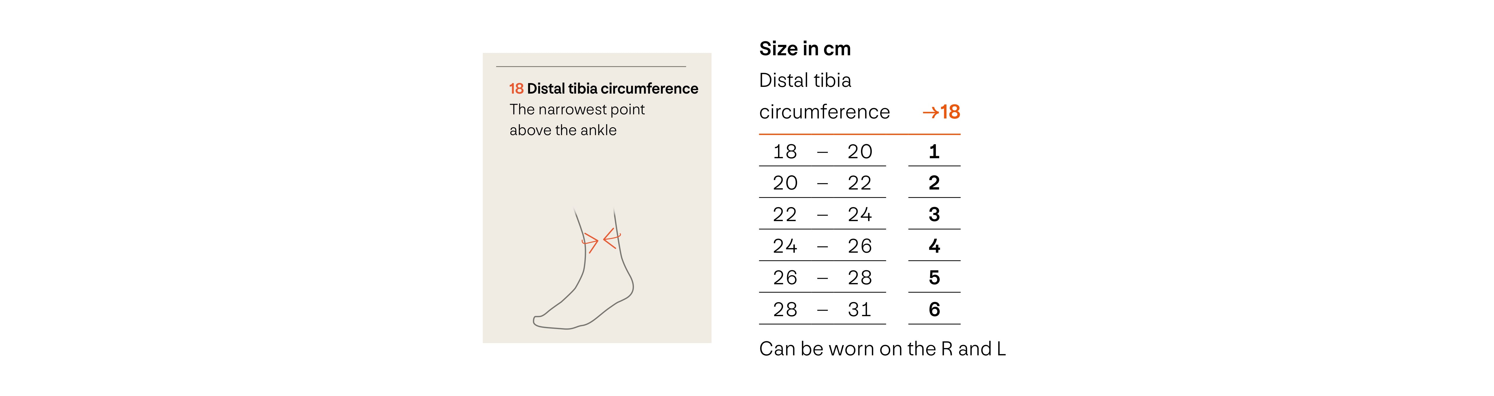 sporlastic-swede-o-universal-ankle-brace-sizing-guide.jpg
